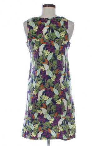 Šaty  Next, Velikost S, Barva Vícebarevné, Cena  496,00 Kč