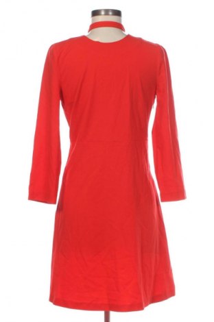 Φόρεμα ONLY, Μέγεθος XS, Χρώμα Κόκκινο, Τιμή 13,81 €