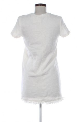 Kleid Zara, Größe S, Farbe Ecru, Preis € 13,80