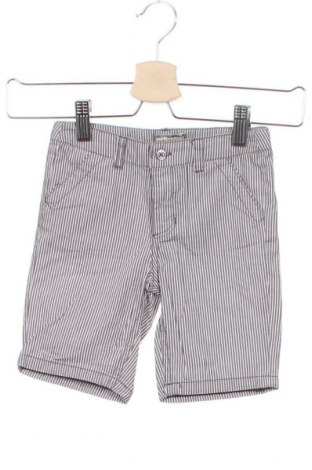 Pantaloni scurți pentru copii Vertbaudet, Mărime 18-24m/ 86-98 cm, Culoare Gri, Bumbac, Preț 72,37 Lei