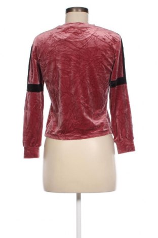 Γυναικεία μπλούζα, Μέγεθος S, Χρώμα Ρόζ , Τιμή 2,70 €