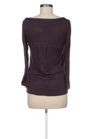 Γυναικεία μπλούζα Avanti, Μέγεθος M, Χρώμα Βιολετί, Τιμή 1,63 €