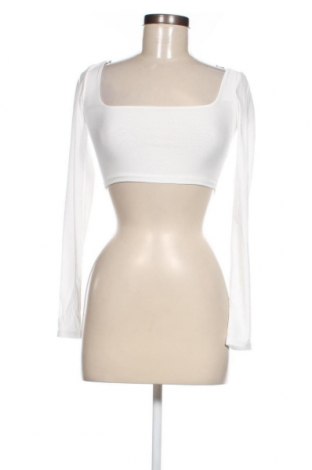 Damen Shirt Colloseum, Größe XXS, Farbe Weiß, Preis 7,99 €