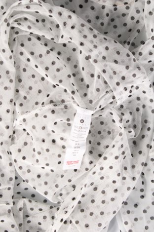 Γυναικεία μπλούζα Daisy Street, Μέγεθος XS, Χρώμα Πολύχρωμο, Τιμή 3,20 €