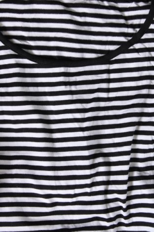 Damen Shirt El Corte Ingles, Größe S, Farbe Mehrfarbig, Preis 13,22 €