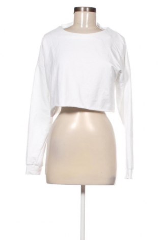 Γυναικεία μπλούζα Ginger, Μέγεθος XL, Χρώμα Λευκό, Τιμή 2,62 €