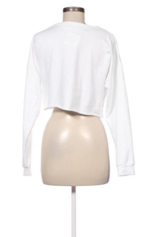 Γυναικεία μπλούζα Ginger, Μέγεθος XL, Χρώμα Λευκό, Τιμή 8,18 €