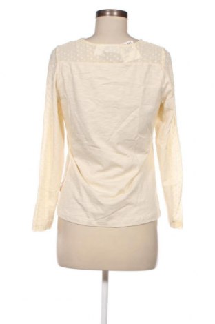 Γυναικεία μπλούζα Laura Kent, Μέγεθος S, Χρώμα Εκρού, Τιμή 11,75 €