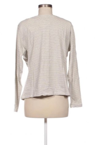 Damen Shirt Mango, Größe XXL, Farbe Weiß, Preis 27,84 €