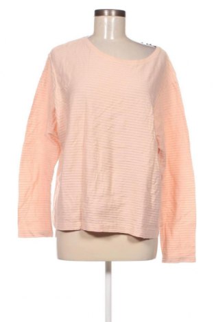 Γυναικεία μπλούζα Opus, Μέγεθος L, Χρώμα Εκρού, Τιμή 2,73 €