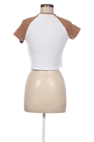 Damen Shirt Review, Größe M, Farbe Mehrfarbig, Preis € 4,82