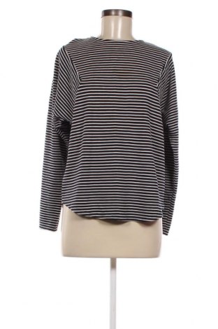 Γυναικεία μπλούζα Shana, Μέγεθος M, Χρώμα Πολύχρωμο, Τιμή 2,00 €
