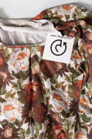Γυναικεία μπλούζα Zara Trafaluc, Μέγεθος S, Χρώμα Πολύχρωμο, Τιμή 1,95 €