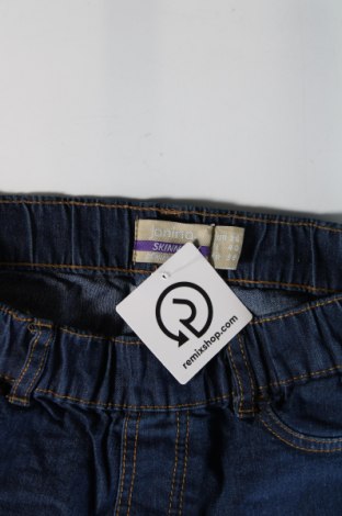 Damen Jeans Janina, Größe S, Farbe Blau, Preis 2,22 €