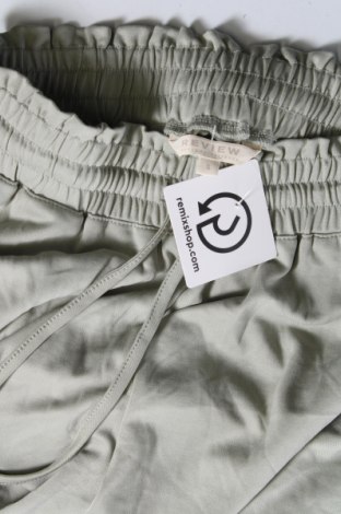 Γυναικείο κοντό παντελόνι Review, Μέγεθος S, Χρώμα Πράσινο, Τιμή 13,36 €