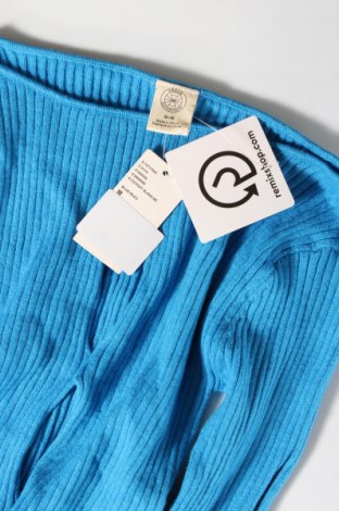 Γυναικείο πουλόβερ Urban Outfitters, Μέγεθος M, Χρώμα Μπλέ, Τιμή 13,46 €