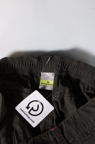 Damen Sporthose Trespass, Größe M, Farbe Grün, Preis € 75,26