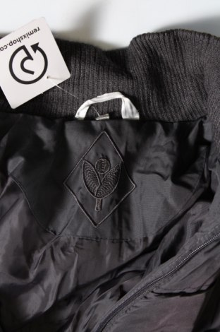 Γυναικείο μπουφάν, Μέγεθος XL, Χρώμα Γκρί, Τιμή 3,95 €
