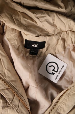Damenjacke H&M, Größe XS, Farbe Beige, Preis 4,04 €