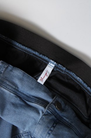 Damen Jeans Sheego, Größe 3XL, Farbe Blau, Preis 44,85 €