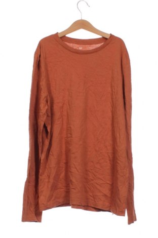 Bluză pentru copii H&M, Mărime 14-15y/ 168-170 cm, Culoare Maro, Preț 40,07 Lei