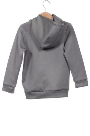 Kinder Sweatshirts Kings will Dream, Größe 4-5y/ 110-116 cm, Farbe Grau, Preis € 15,26