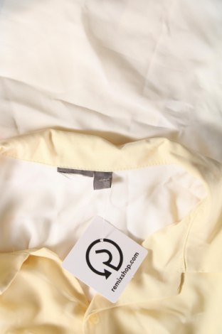 Ανδρικό πουκάμισο, Μέγεθος XXL, Χρώμα Πολύχρωμο, Τιμή 7,59 €