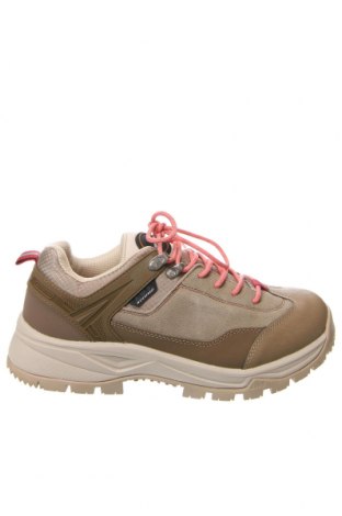 Ανδρικά παπούτσια Icepeak, Μέγεθος 42, Χρώμα Καφέ, Τιμή 38,18 €