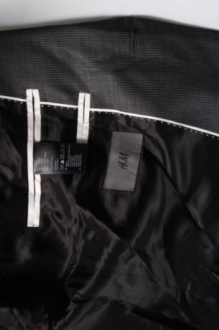 Pánske sako  H&M, Veľkosť L, Farba Sivá, Cena  24,95 €
