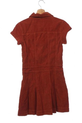 Kleid BDG, Größe XS, Farbe Braun, Preis 7,36 €