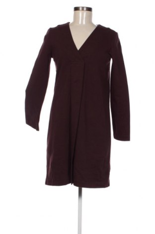 Kleid Massimo Dutti, Größe S, Farbe Rot, Preis 41,06 €