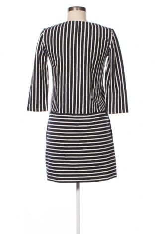 Kleid Penny Black, Größe S, Farbe Mehrfarbig, Preis 18,79 €