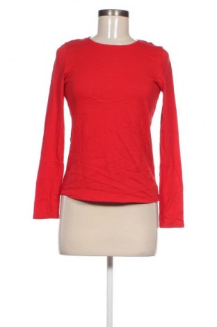 Damen Shirt, Größe S, Farbe Rot, Preis € 13,49