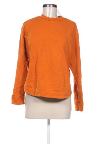 Damen Shirt, Größe M, Farbe Orange, Preis € 13,49