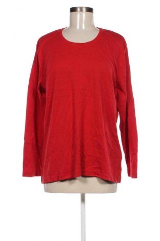 Damen Shirt Bexleys, Größe XL, Farbe Rot, Preis 23,99 €