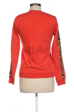 Bluzka damska Colourful Rebel, Rozmiar XS, Kolor Czerwony, Cena 108,99 zł