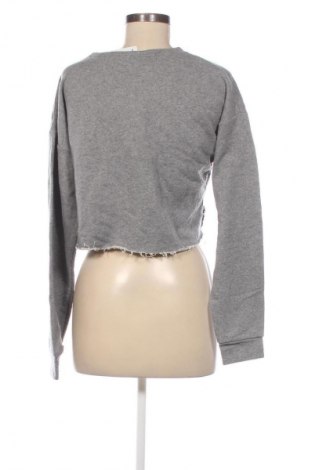 Damen Shirt Ebelieve, Größe M, Farbe Grau, Preis € 13,49