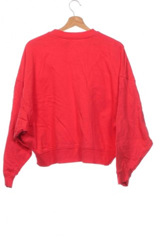 Damen Shirt Edited, Größe XS, Farbe Rot, Preis € 17,39