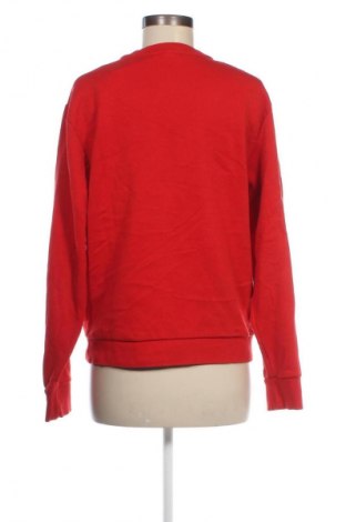 Damen Shirt Mango, Größe L, Farbe Rot, Preis € 18,99