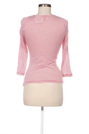 Damen Shirt Miss Sixty, Größe M, Farbe Mehrfarbig, Preis € 24,55