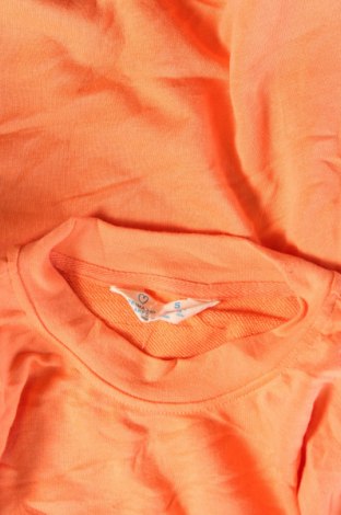 Damen Shirt Primark, Größe S, Farbe Orange, Preis € 13,49