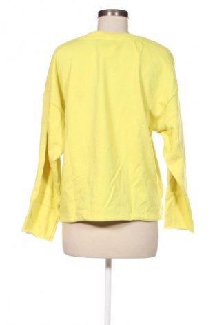 Damen Shirt Pull&Bear, Größe L, Farbe Grün, Preis 9,79 €