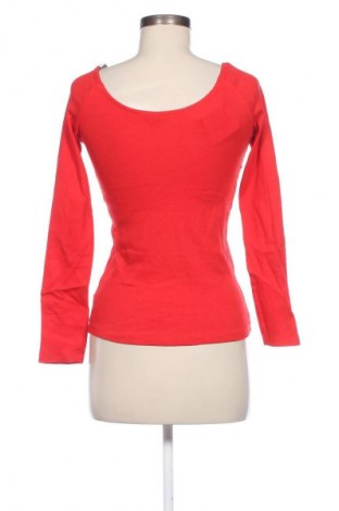 Damen Shirt Sinsay, Größe M, Farbe Rot, Preis € 13,49