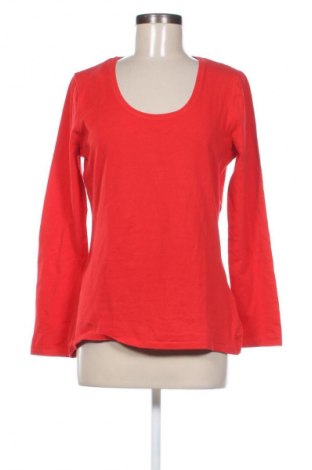 Damen Shirt WE, Größe XL, Farbe Rot, Preis € 13,49