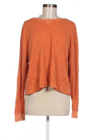 Damen Shirt Wild Fable, Größe L, Farbe Orange, Preis € 2,99