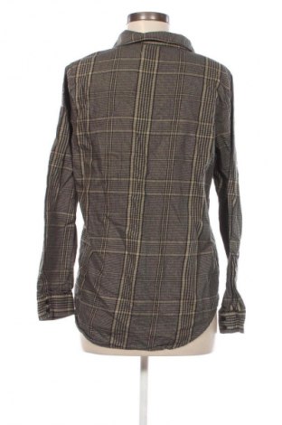 Damen Shirt Zara, Größe M, Farbe Mehrfarbig, Preis 18,99 €