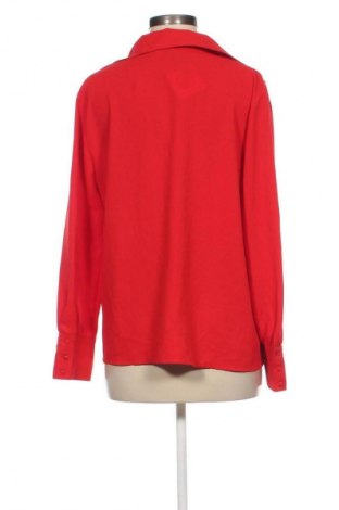 Damen Shirt Zara, Größe L, Farbe Rot, Preis 15,35 €