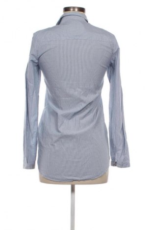 Damenbluse Massimo Dutti, Größe S, Farbe Blau, Preis € 11,99