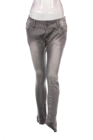 Damen Jeans Chicoree, Größe M, Farbe Grau, Preis € 3,99