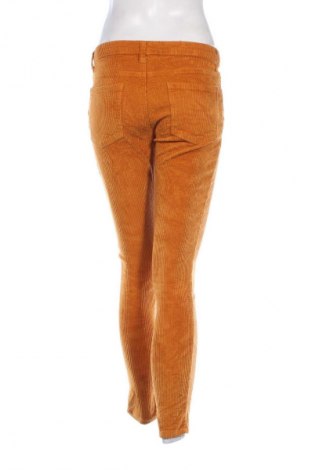 Damen Cordhose Even&Odd, Größe S, Farbe Gelb, Preis 4,99 €